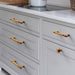 cabinet knobs